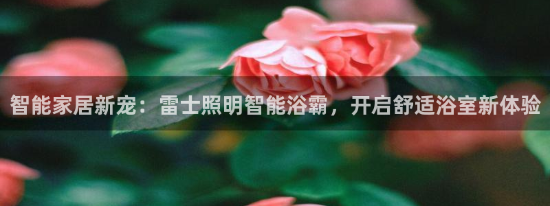 云顶国际服s10什么时候更新