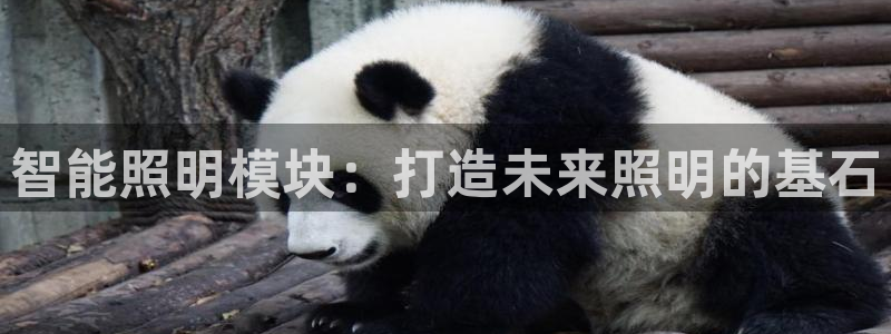 云顶集团网站多少钱一个