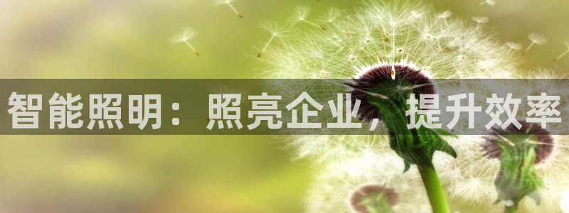 云顶国际缆车起点在哪里啊