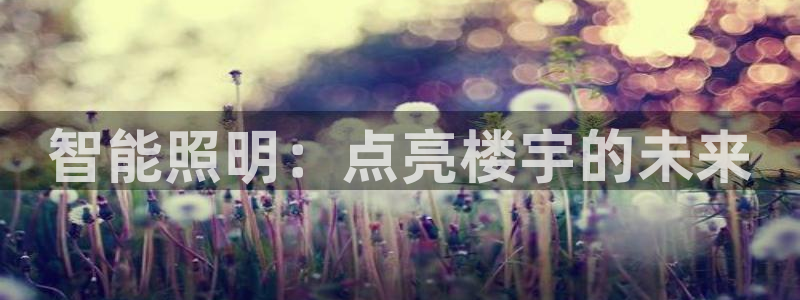 云顶国际app官网