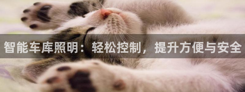 云顶国际服s9