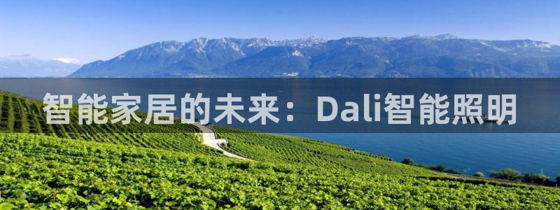 云顶国际服手游
