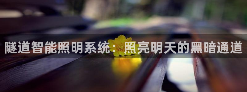 云顶国际会所怎么样
