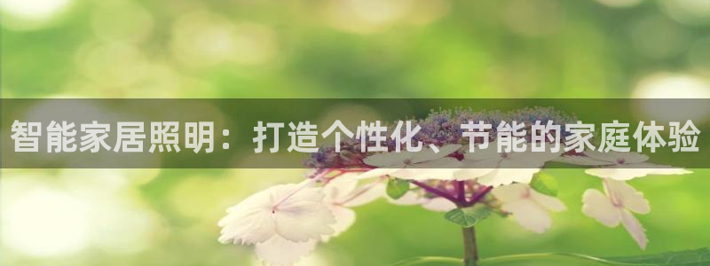 云顶国际休闲会所