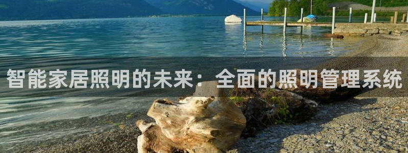 云顶国际物流