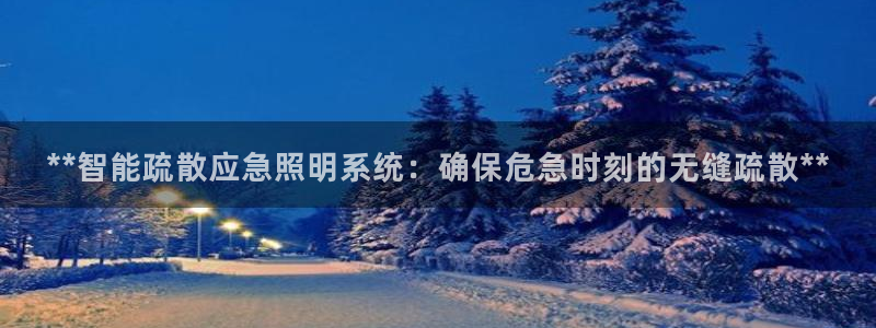 云顶集团王天才简介