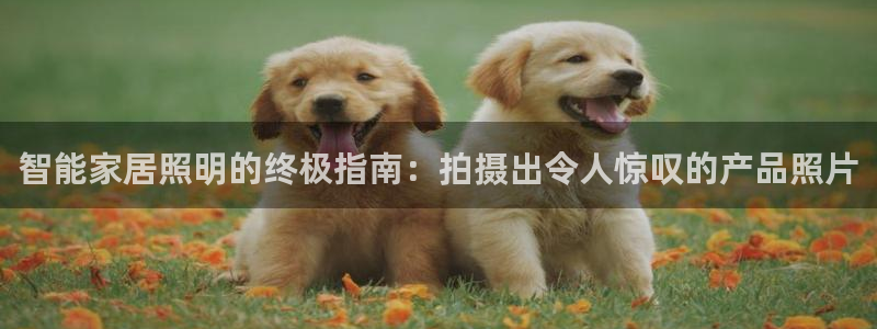 云顶集团有限公司简介