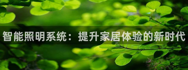 云顶国际平台游戏官网入口