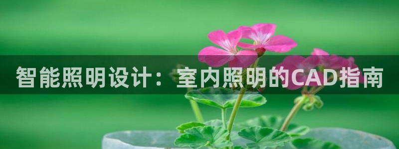 云顶国际服更新s9