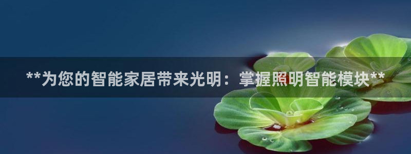 云顶pc