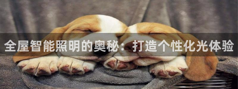 云顶国际平台为什么提现不了呢