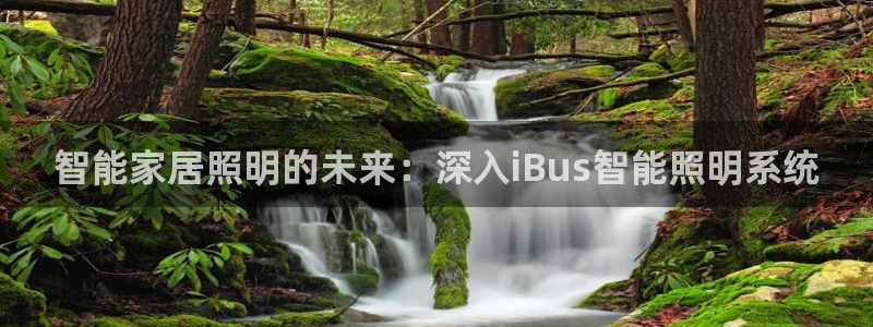 云顶集团 中国排名第几