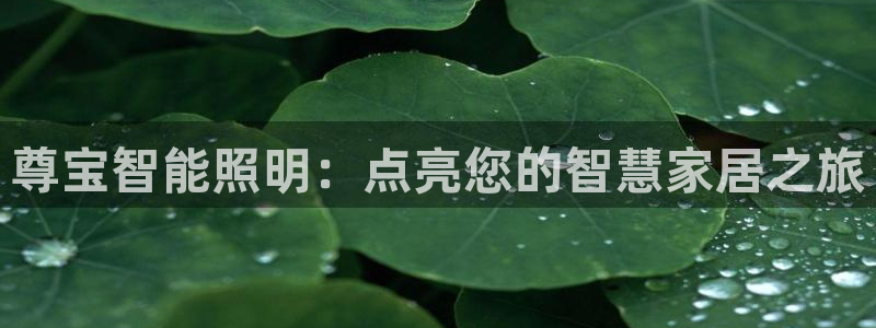 云顶集团rt电子游戏