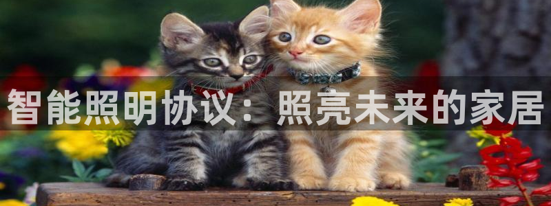 云顶7610最新