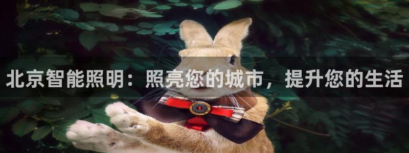 云顶国际比赛