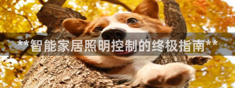 17173云顶