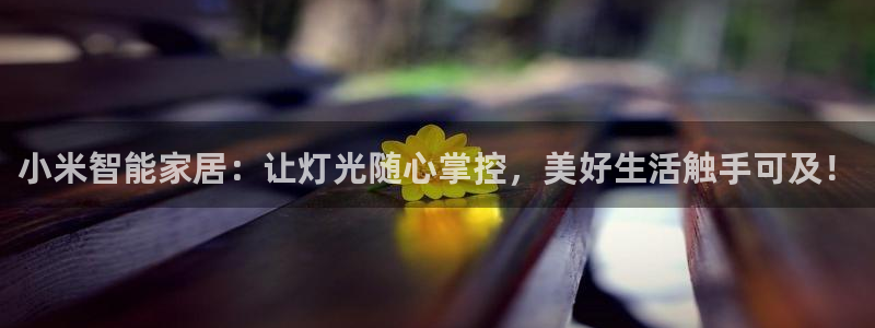 云顶国际服有中文吗