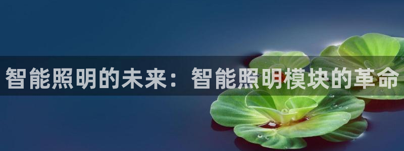 云顶国际平台违法吗?