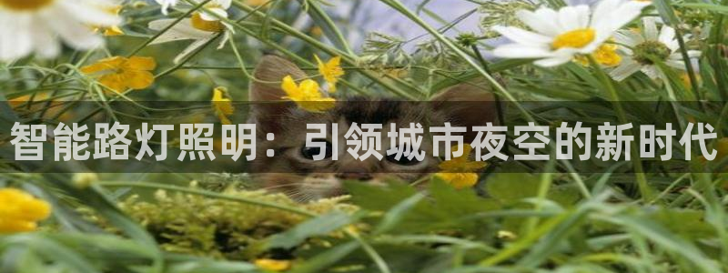 淮北云顶国际一次多少钱