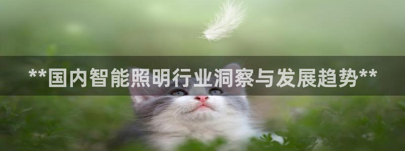 云顶国际app手机版