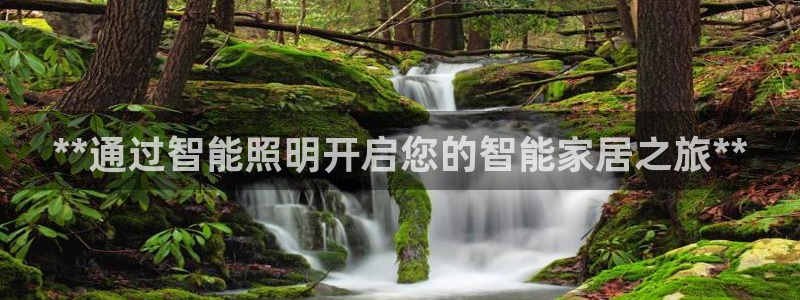云顶国际服选哪个服务器好