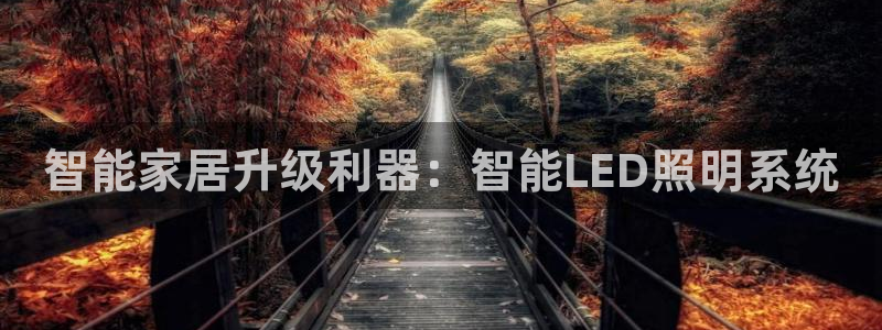 云顶国际app免费下载安装