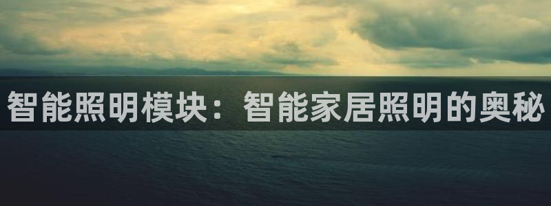 云顶国际投资有限公司
