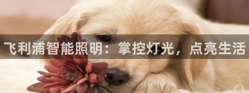 云顶集团中国区总裁