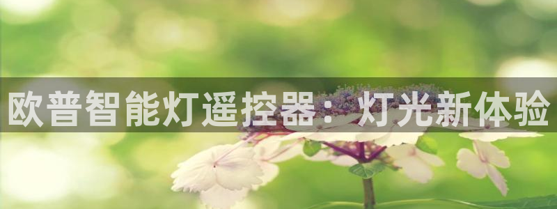 中国云顶控股集团
