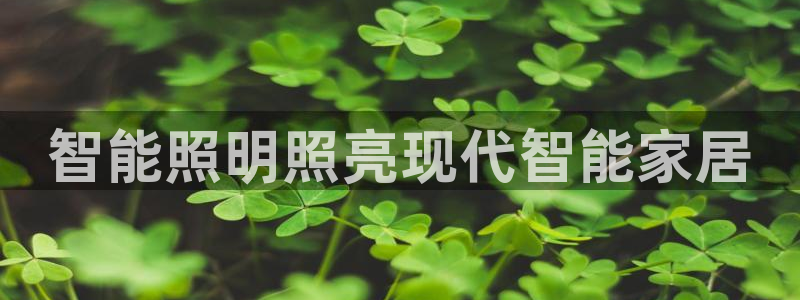 云顶国际停车费多少钱