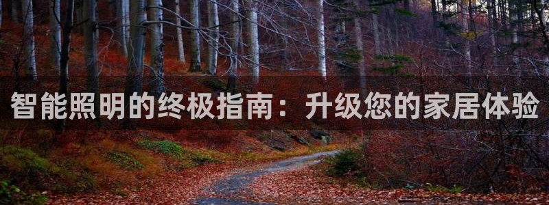 云顶国际网站打不开