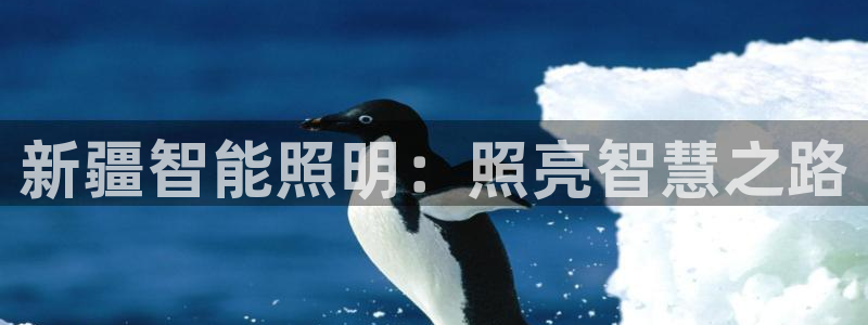 云顶国际宴会中心怎么样