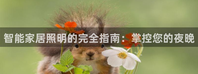 云顶国际小区