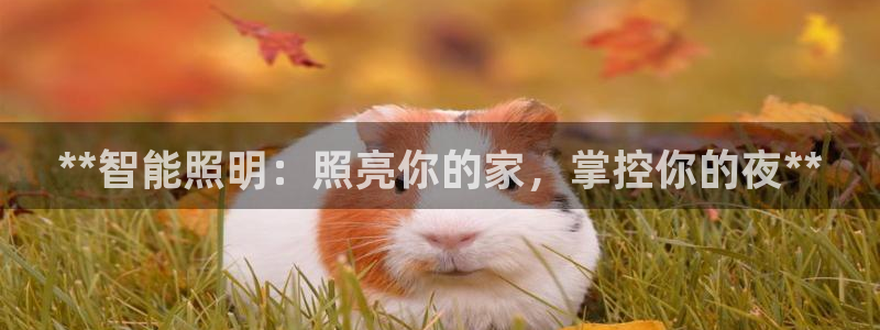 云顶国际是什么公司