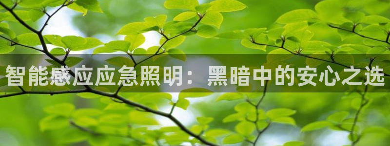 太原云顶国际酒店坐几路公交车