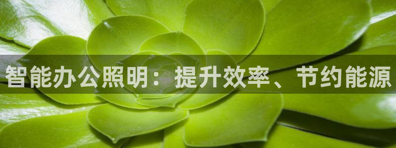 云顶国际商务会所怎么样
