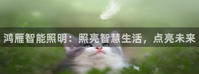 云顶国际集团游戏会不会黑钱