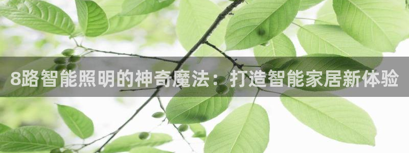 云顶8888