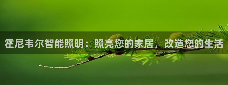 云顶国际老板是谁