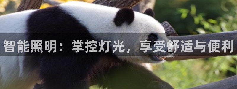 云顶国际服和美服通的吗