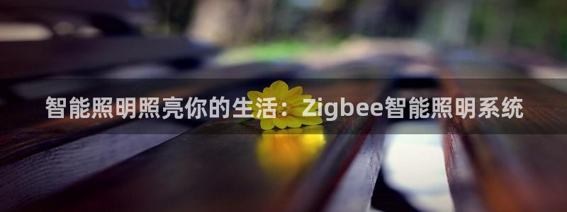 云顶国际app官网下载安装
