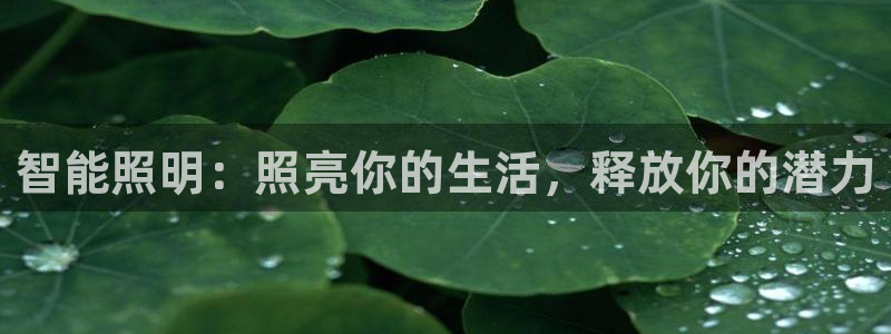 云顶国际平台怎么样