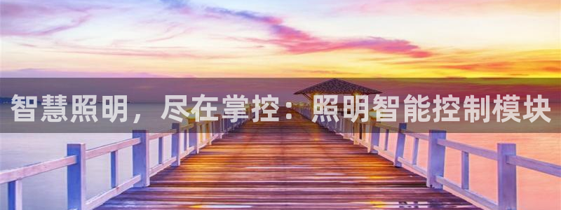 云顶国际物流官网电话
