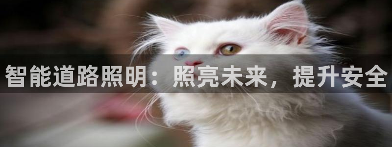 云顶国际酒店位置地图