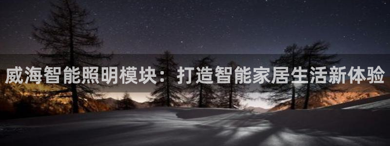云顶国际酒店老板