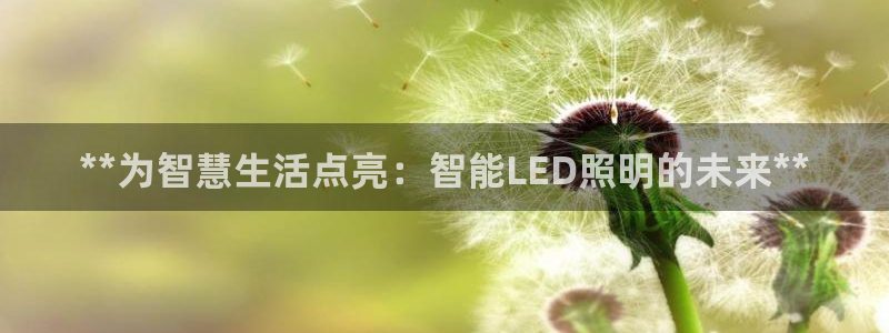 云顶国际装饰设计