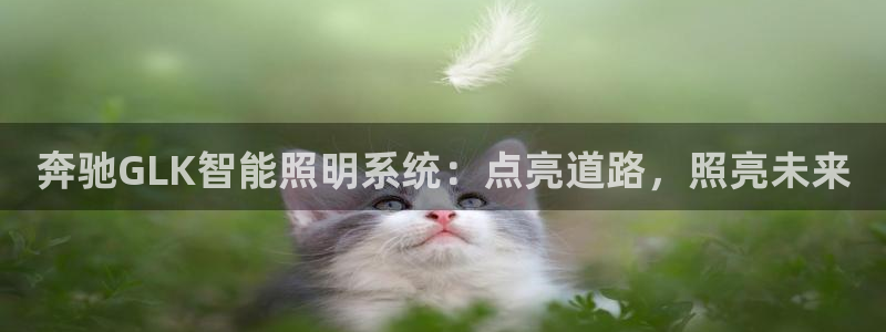 云顶国际城手机网址查询