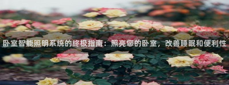 云顶集团app免费下载安装