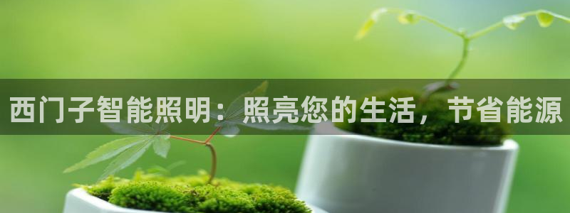云顶国际物流电话