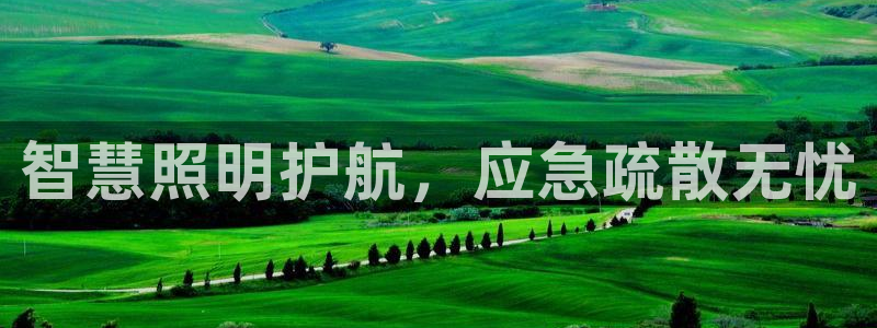 云顶集团网站是多少